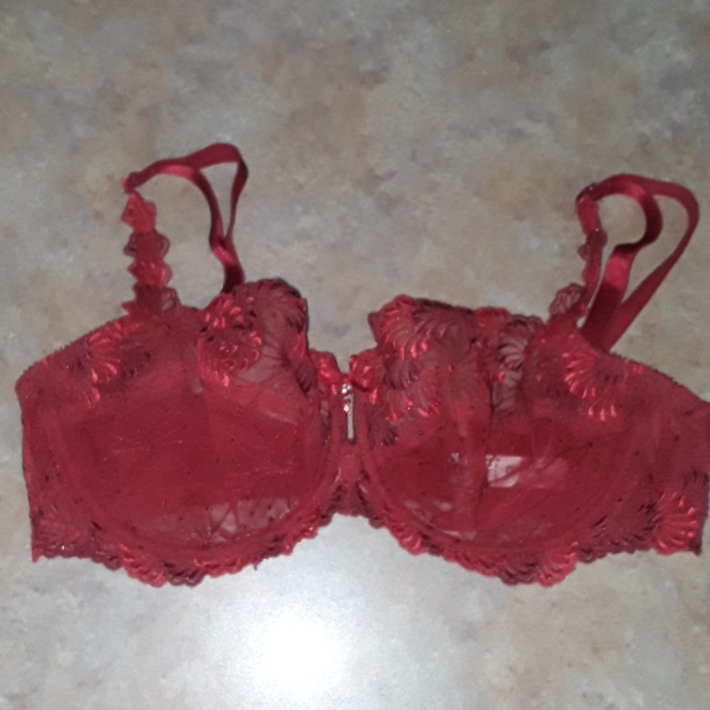 Chantelle Underwire Embroidered Bra 32D